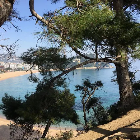 Vivalidays Alicia - Fenals - Apartamento *